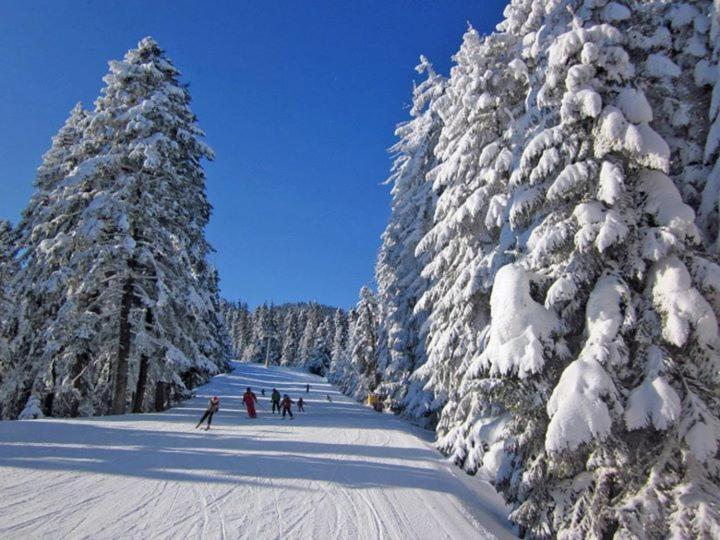 Aparthotel Borovets Gardens Екстер'єр фото